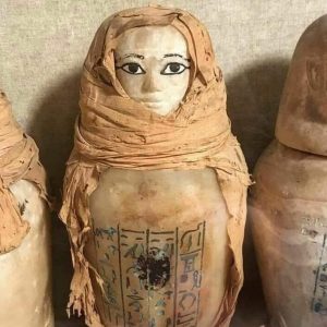 109086576_3209844029072938_5529861718266039262_n