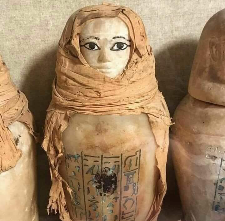 109086576_3209844029072938_5529861718266039262_n