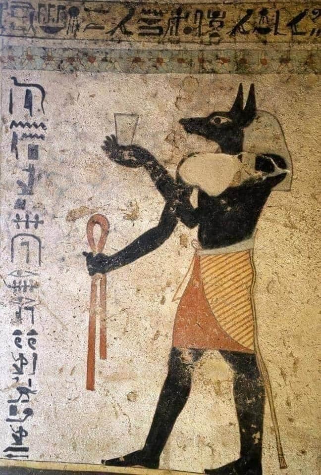 109825755_3209842999073041_2569950965728090860_n