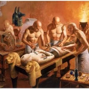 111442846_3209844082406266_3021705846324164440_n