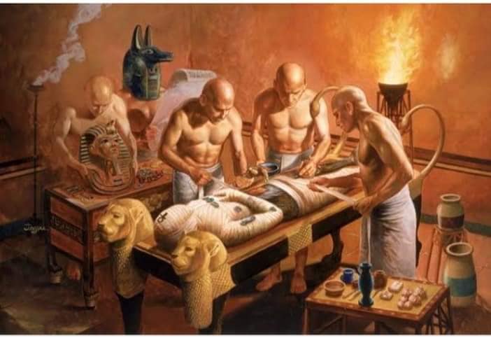 111442846_3209844082406266_3021705846324164440_n