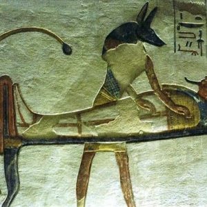 111454674_3209843542406320_5126090759902764537_n