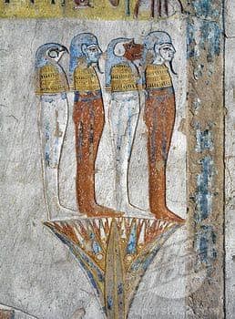 111743215_3210420099015331_2870277918005286749_n