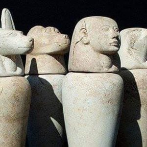 112473187_3209844402406234_394192494473831621_n