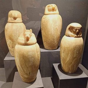 112775057_3209843945739613_6546947681770760679_n