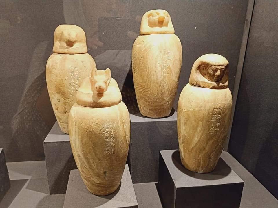 112775057_3209843945739613_6546947681770760679_n