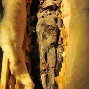 113020300_3209843185739689_5524233336072745474_n