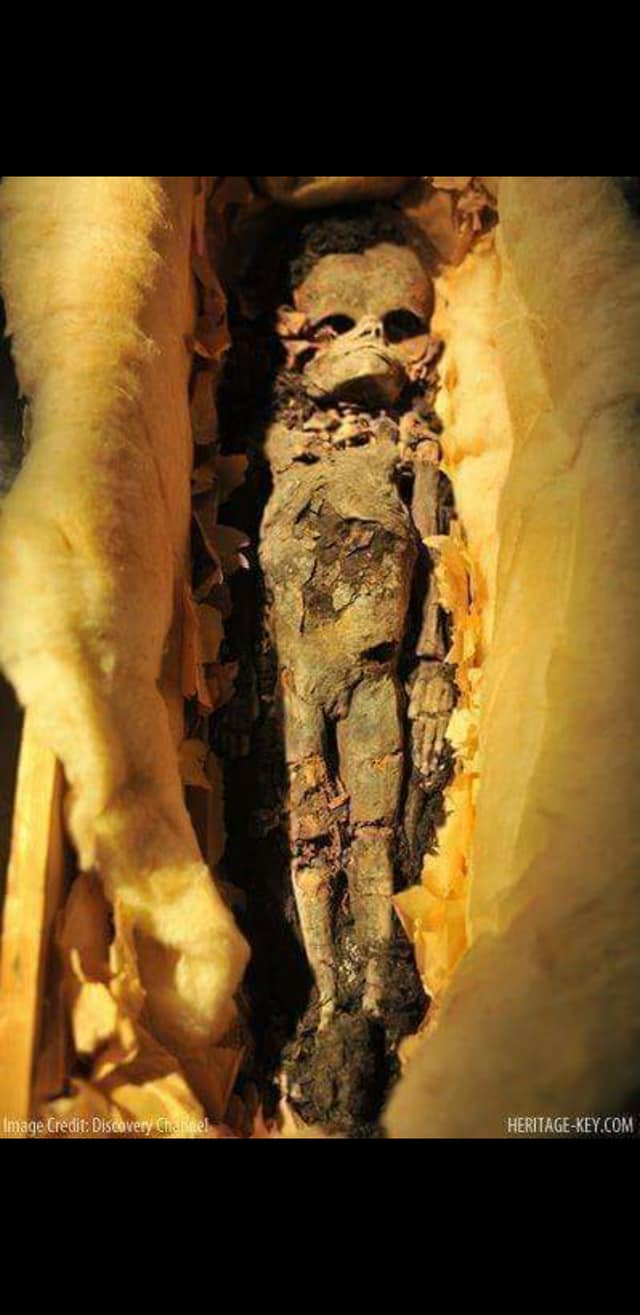 113020300_3209843185739689_5524233336072745474_n