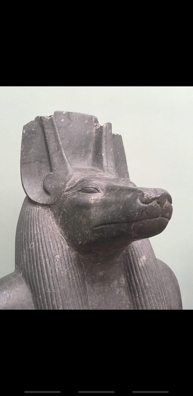 Anubis