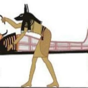 Anubis