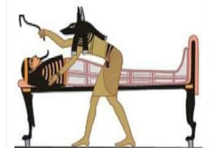 Anubis