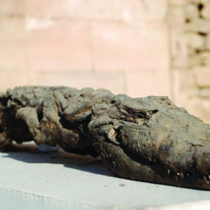 193086925_760803824592160_6712814971734870789_n