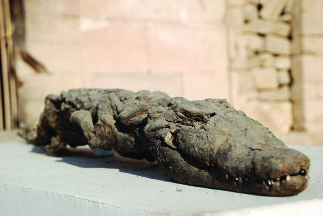 193086925_760803824592160_6712814971734870789_n