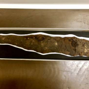 194792121_760803451258864_3865893626784582414_n