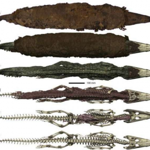 196015664_760803267925549_2117634290627698828_n