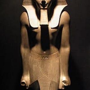 218901564_4214875358550502_2827353726070323510_n