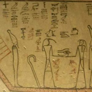 219073181_4214873718550666_7192160461084635157_n