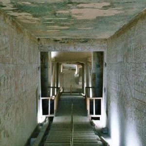 219322593_4214873075217397_2192016554309179194_n