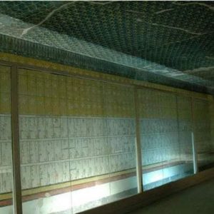 219577608_4214875221883849_1811738594245736469_n