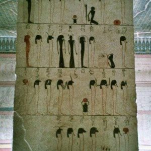 219608053_4214874631883908_4032429140201191527_n