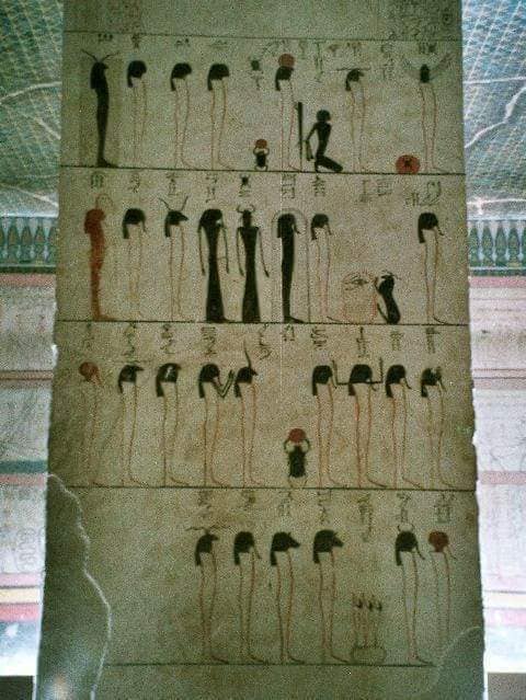 219608053_4214874631883908_4032429140201191527_n