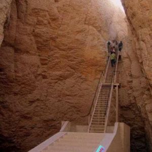 220195246_4214872508550787_7842528298106211455_n