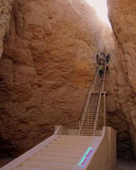 220195246_4214872508550787_7842528298106211455_n