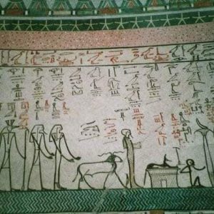 220279630_4214874828550555_3332149999522375729_n