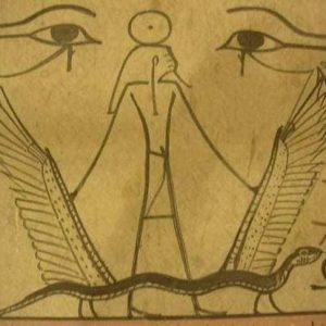 221064586_4214873888550649_2936964698903801592_n