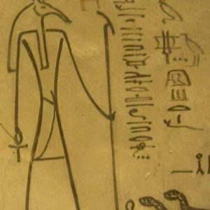 221149959_4214873518550686_785299622873384335_n