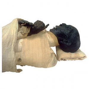 221333042_4214875461883825_2617549396070300320_n