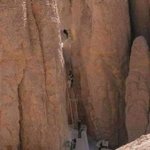 221714590_4214872735217431_897555125486808768_n