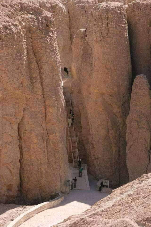 221714590_4214872735217431_897555125486808768_n