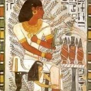 221748721_4505852106126404_1760507508756462212_n