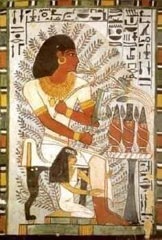 221748721_4505852106126404_1760507508756462212_n