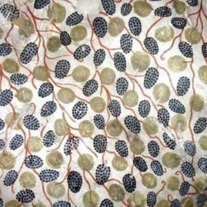 223088002_4505851779459770_5411234995716592874_n