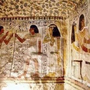 223097394_4505851946126420_4008480548748282946_n