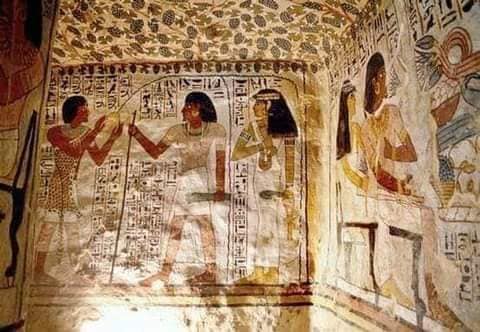 223097394_4505851946126420_4008480548748282946_n