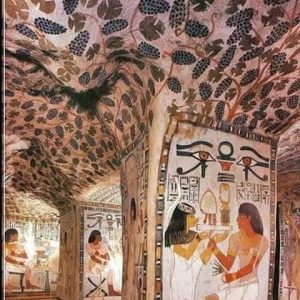 224053246_4505851529459795_8093780904062720782_n (1)