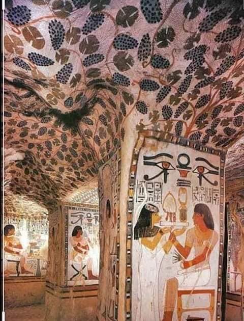 224053246_4505851529459795_8093780904062720782_n (1)