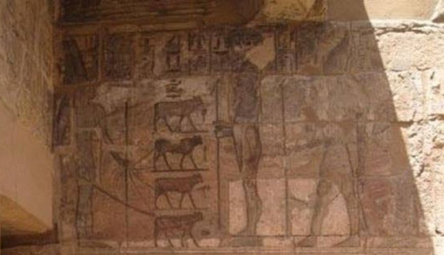 the four digger bulls