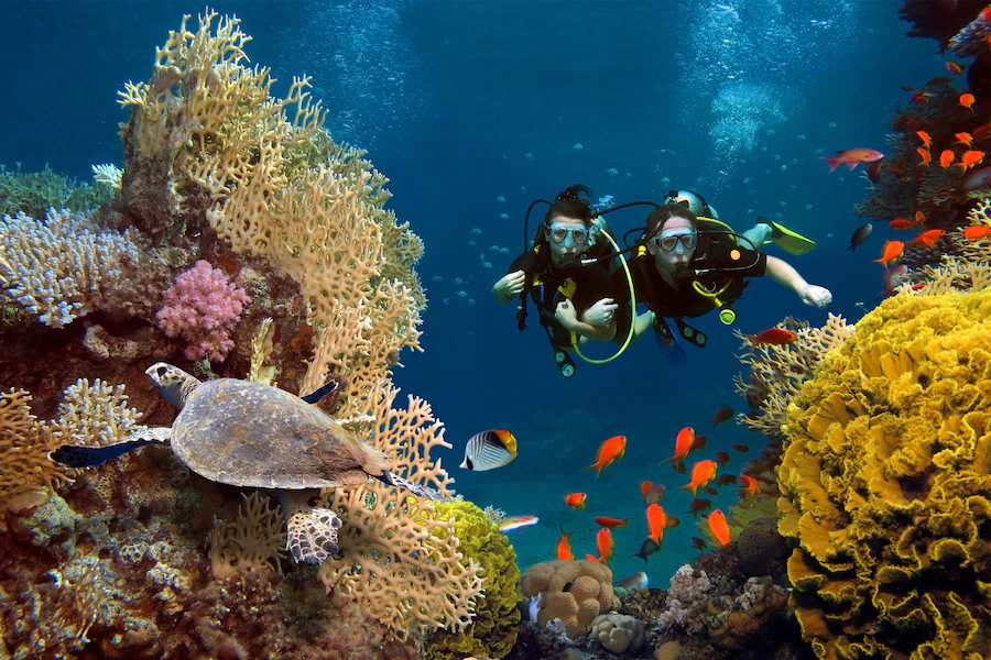 Magnificent Hurghada Scuba diving Egypt Magic Tours